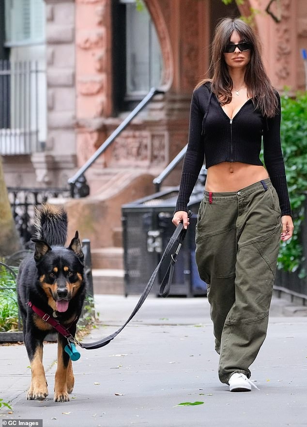 Emily Ratajkowski Puts On A Busty Display And Flashes Her Abs In A Cropped Sweater As She Walks